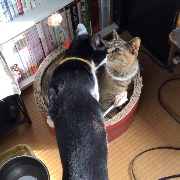 3f0b9d45 c3ce 445e 9a17 0c306787db8f 1648003862882