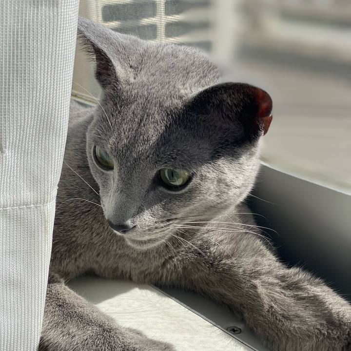 3f0bc7a5 04f3 42bc a3f1 e482cbfab843 1615697376857