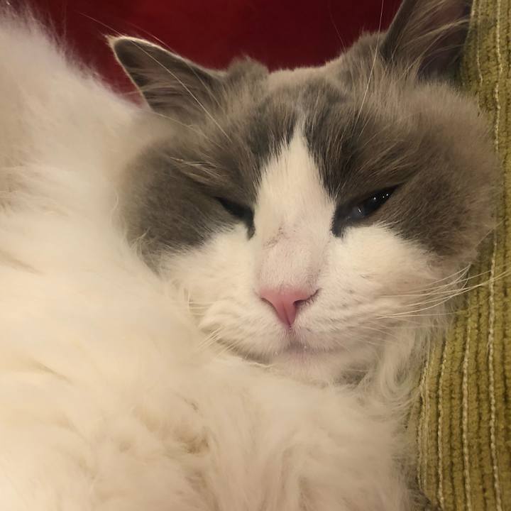 3f0bec86 d7b4 4e04 96ce 998b7c46a90e 1581840148926