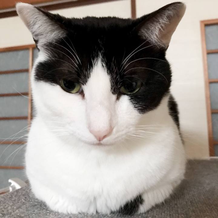 3f0bff21 b3b8 4d9e a1e6 4076e833b4bf 1523714636698