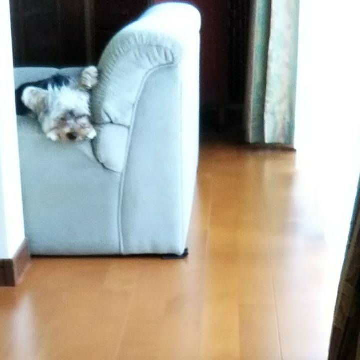 3f0c3523 7aec 4903 9430 3bca4a1be859 1539515326283