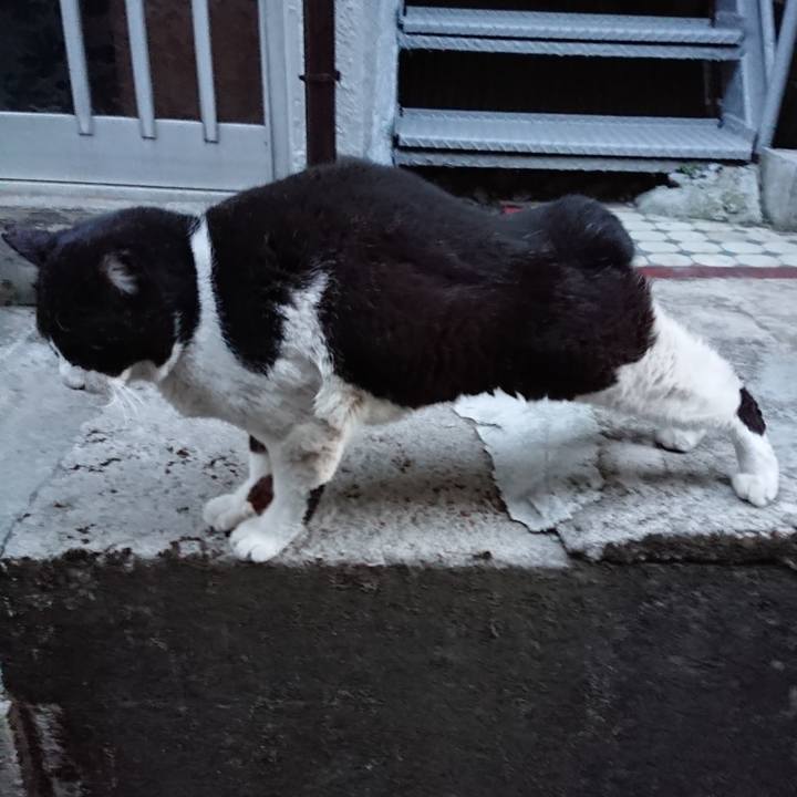 3f0c3cdc d8eb 4fa4 8e43 cca9159fe5f9 1642752887837