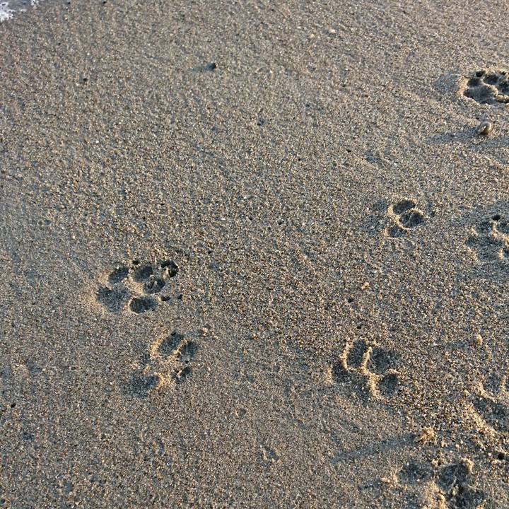 3f0c4952 c5f3 4498 80b4 ac358e36779a 1523194283529