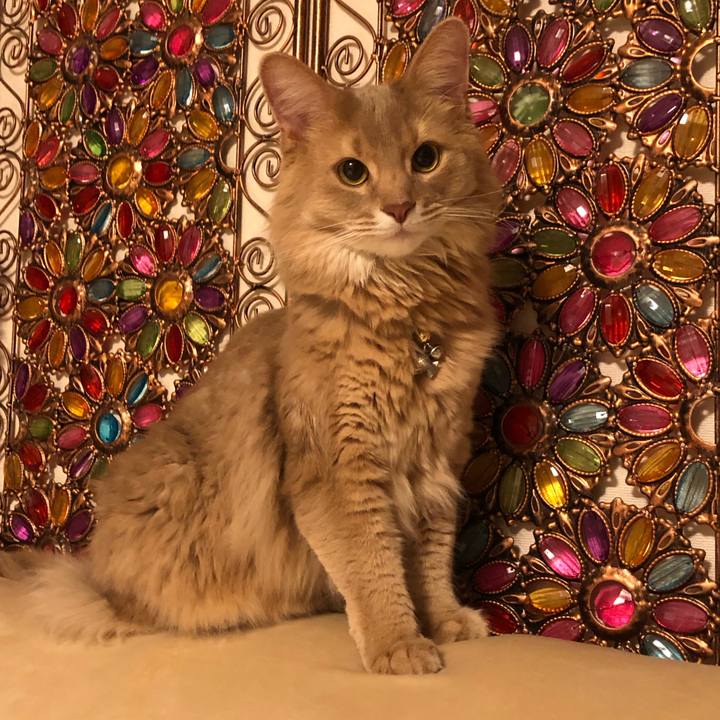 3f0c57a7 ed44 488a addf 98a328b180aa 1613653686278