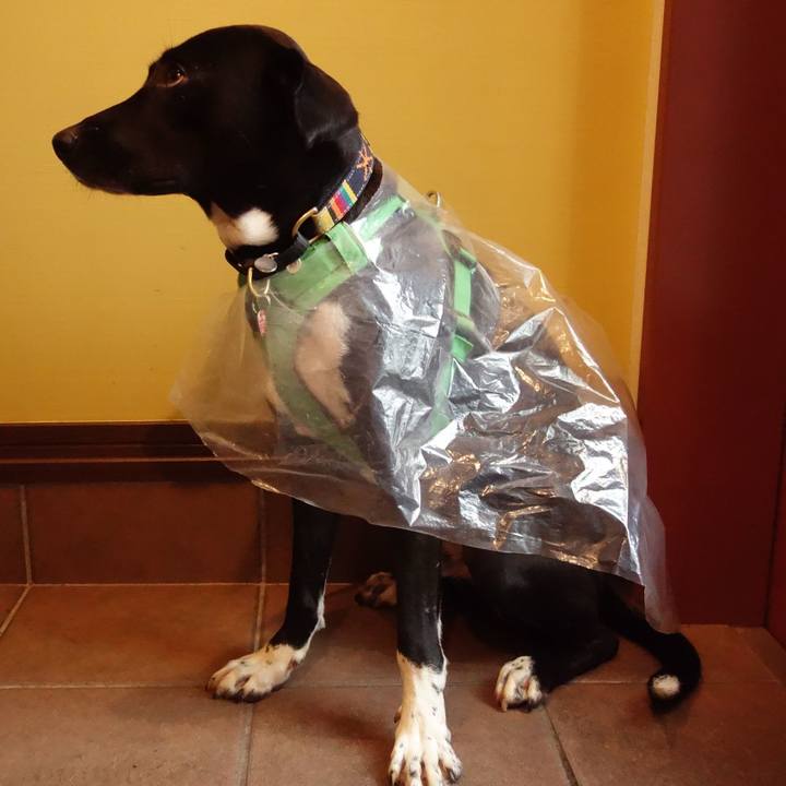 3f0c57db 4de0 4be0 a5e9 edbe0d3f68ca 1593994882586