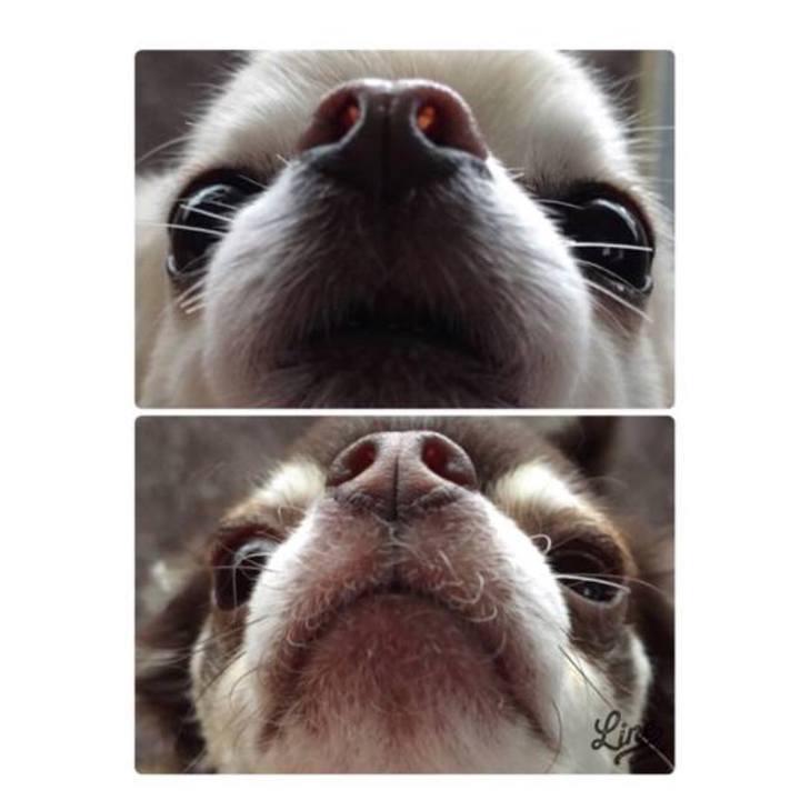 3f0c6350 d2e2 4dda 99df 929e1f0b87e7 1536801542568