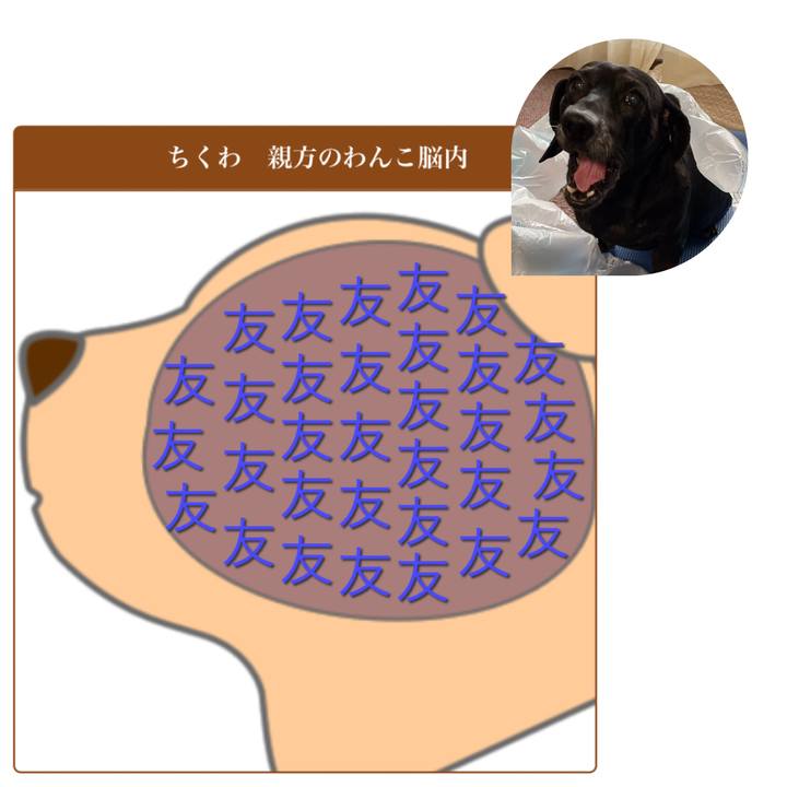 3f0c6594 296d 43d8 901a a4a3521800ba 1625977611354