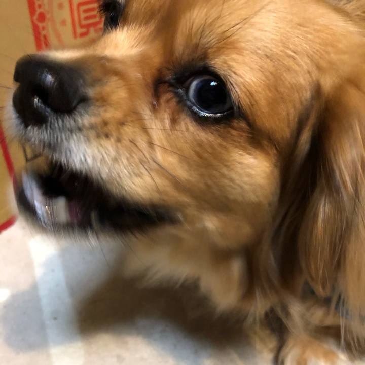 3f0c757e 408b 4e8d 83e2 21dd44e48bbd 1550014045417