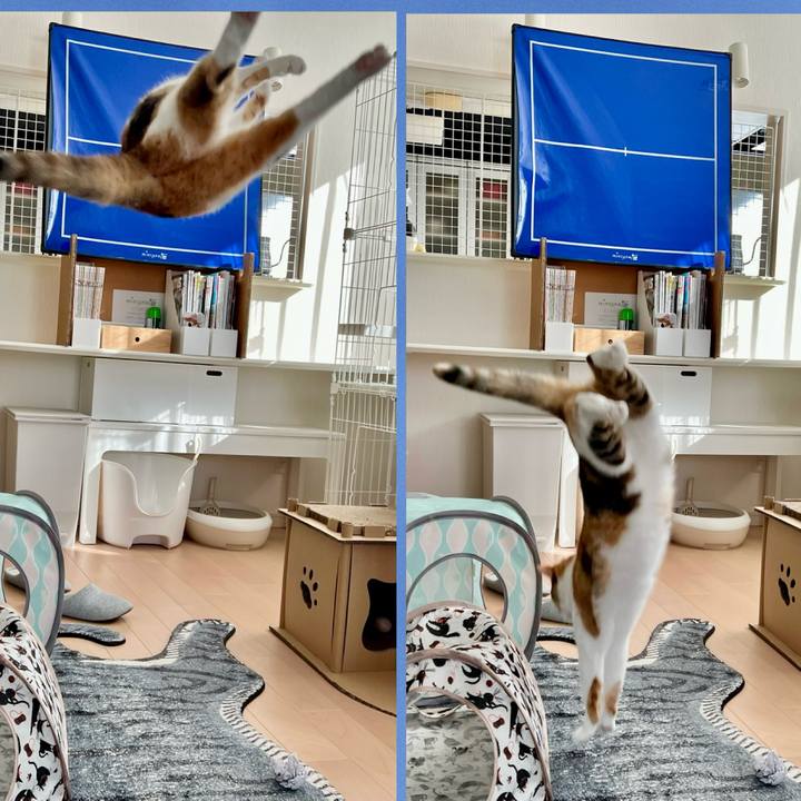 3f0cbe76 6c37 42ed 9c8f c1181038f9f9 1765852976624