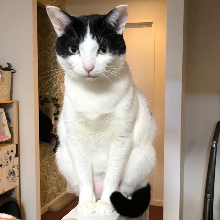 3f0cdd5e e587 4862 ac1d 6f166d076d67 1518075088684