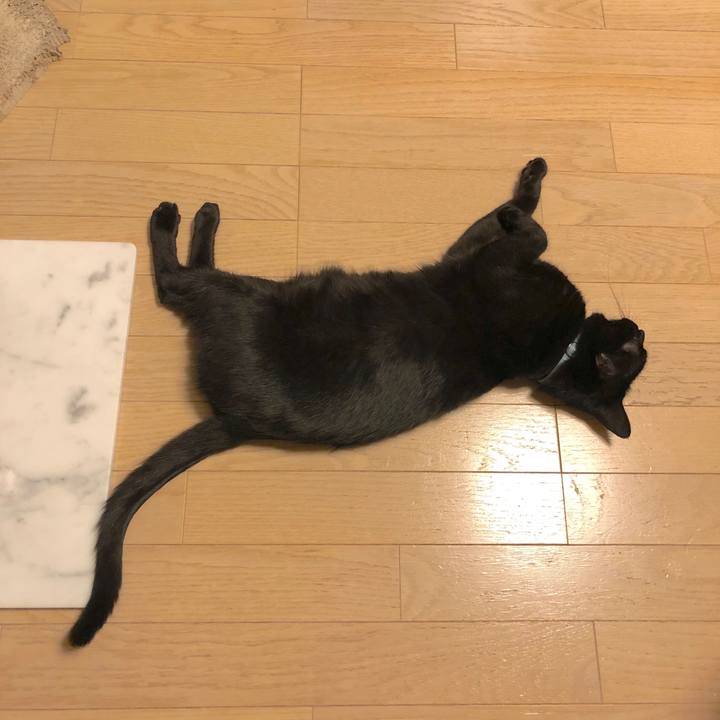 3f0cde7a 083a 4fe2 b32c 2f1d64cb169c 1566905701297