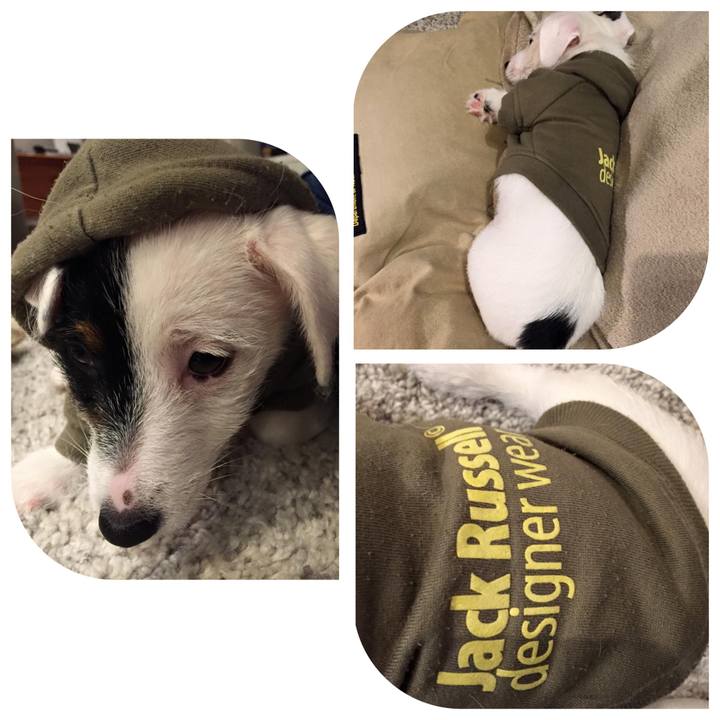 3f0d0f71 f4b9 4af4 a883 3b9ddc42102a 1581548482790