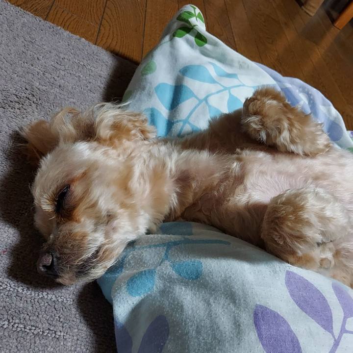 3f0d3a29 5965 482c 9f88 544f3df583fa 1680344041637