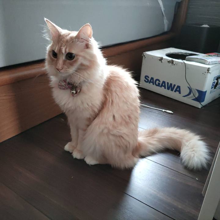 3f0d5b98 7bc8 4748 924a a1986ac886c9 1665786722930