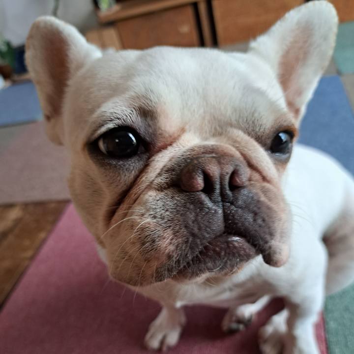 3f0dc992 e453 4426 a569 ab6fdfe9f73f 1693176337777