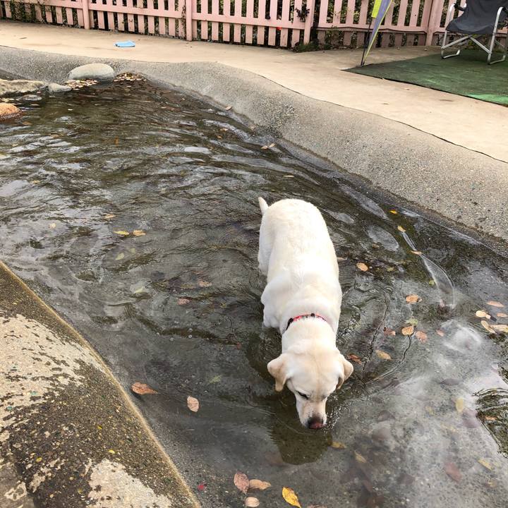 3f0ded17 cb81 404d ae46 582bf54157cc 1604912908421