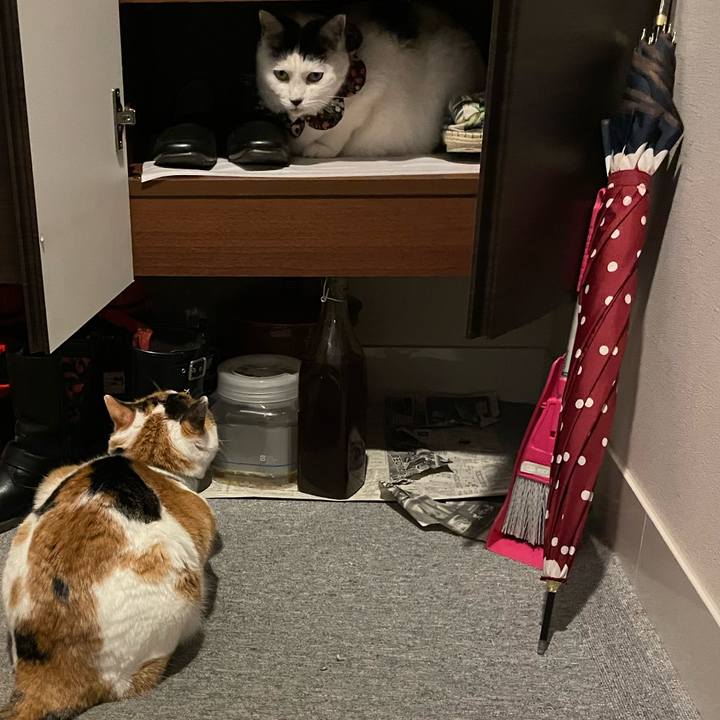 3f0e0f96 8446 464d 98d8 0aec63593552 1677399369437