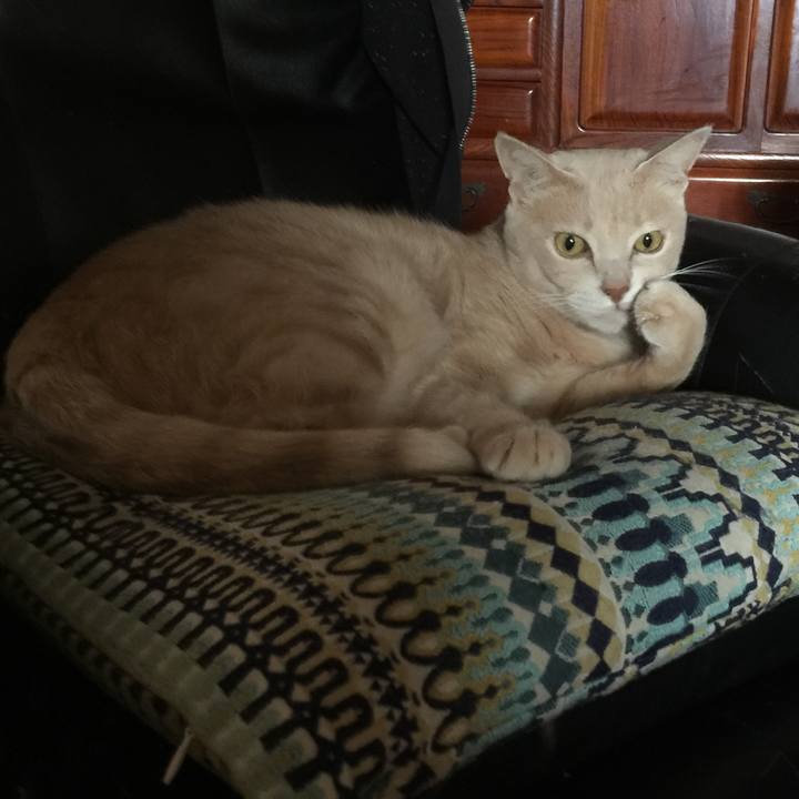 3f0e110a 1c0a 468e b45d deab63d0034e 1569585491190