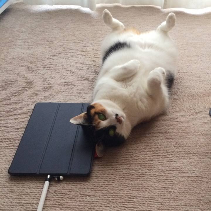 3f0e16a6 2d89 4baa a4a2 f6c8b16bd492 1576726454136