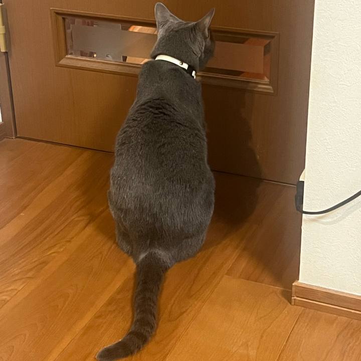 3f0e5c83 ea5a 4cce bf7d 408ba0dbcf44 1724582868842