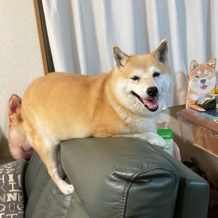 3f0eb143 7bca 4735 9cba 4ebe3a761a86 1623831076808