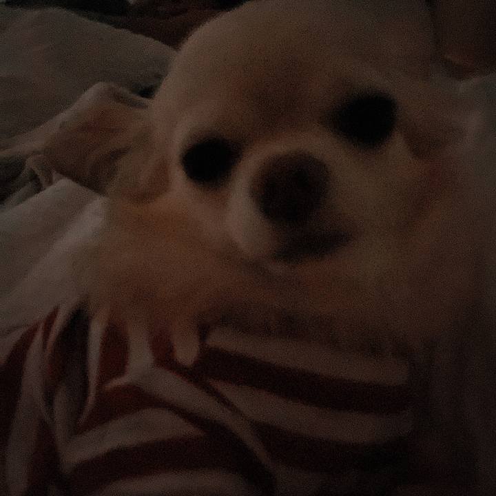 3f0ed530 816d 4a3d a4f9 a8f777fbacc5 1665726043071