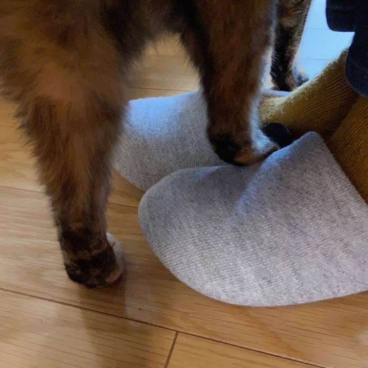 3f0ed7e6 0451 4ee1 ab3a 9058e71e838b 1641778117428