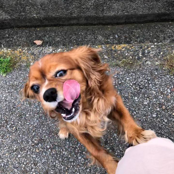 3f0f195d d529 45f4 b512 6a57f301cb82 1619228178396