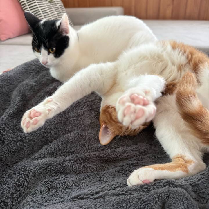 3f0f3c29 f63c 48e0 94a9 061a1104341b 1772764947798