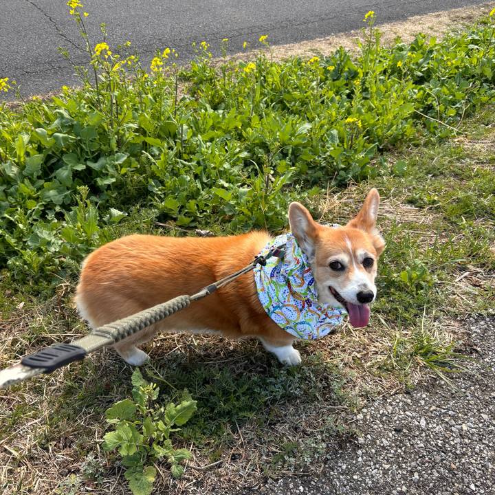 3f0f3c37 107f 42c3 8e03 771821910715 1772848180319