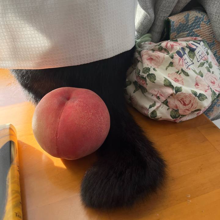 3f0f519d 07d2 4bf8 9a09 fb21a94541f2 1721355786455