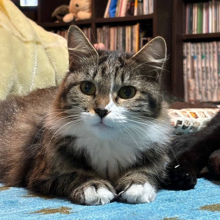 3f0f8144 9e74 4ad5 b9bd b4ccdbbd15e3 1730854994379