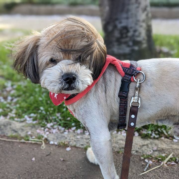 3f0f86a0 e72a 4b82 91fa 176872f5a512 1712483388984