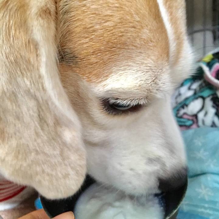 3f0fd529 b244 46a3 9823 46cd32bd2e10 1562644269157