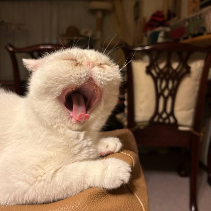 3f0fd9a4 34a5 4d16 9f4d 214f643e3353 1721045143947