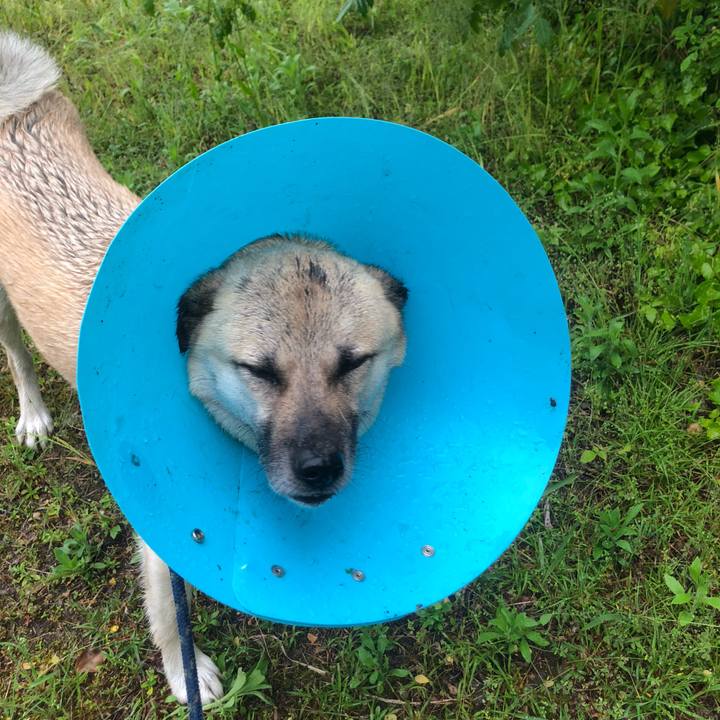 3f0fe3bd 9cf9 43bd 87f9 7050744e4474 1588494060788