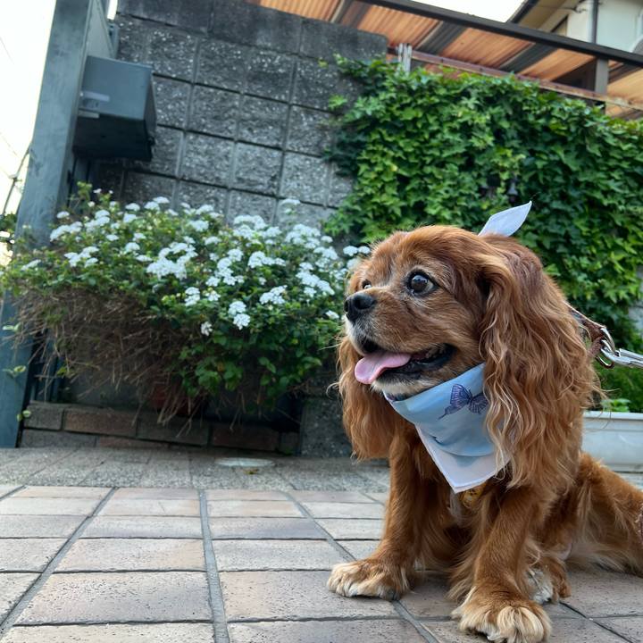 3f0ff138 0a08 4939 a1f1 4a6477ac411a 1720305986055