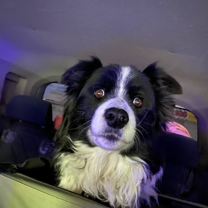 3f1023e0 2681 4737 85dc e9af5fae9950 1674684029332