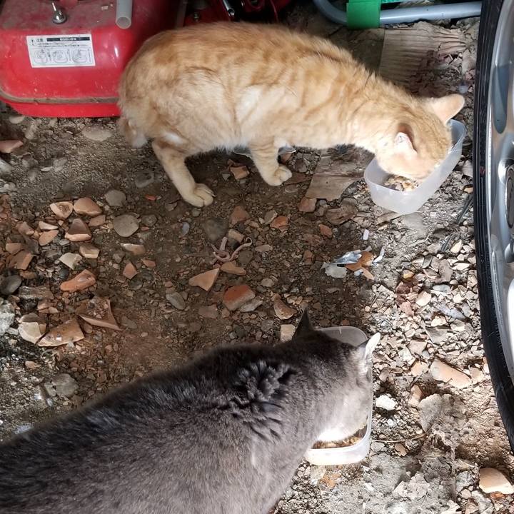 3f104642 cf04 4729 8a73 d833e85e09dd 1548592154817