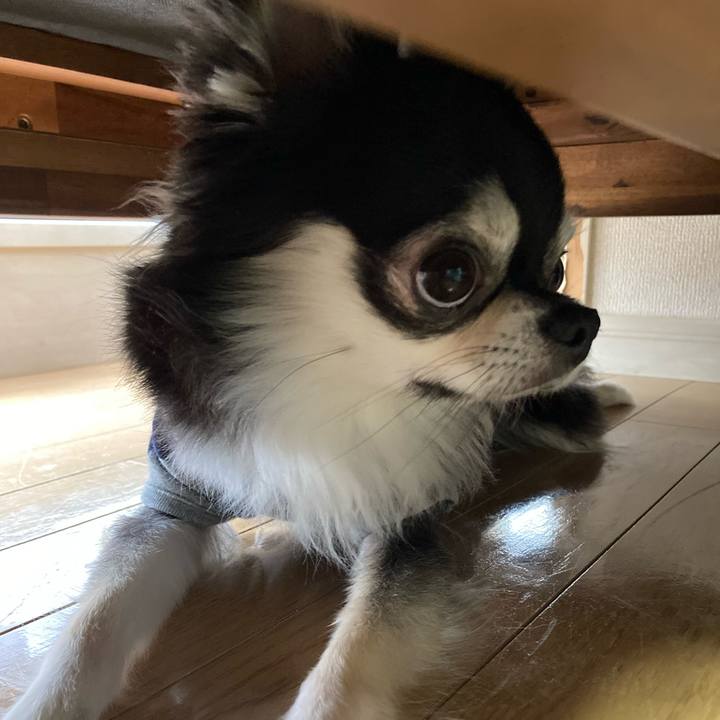 3f106728 d0c2 4f41 be5d 3ef816771743 1653225516804