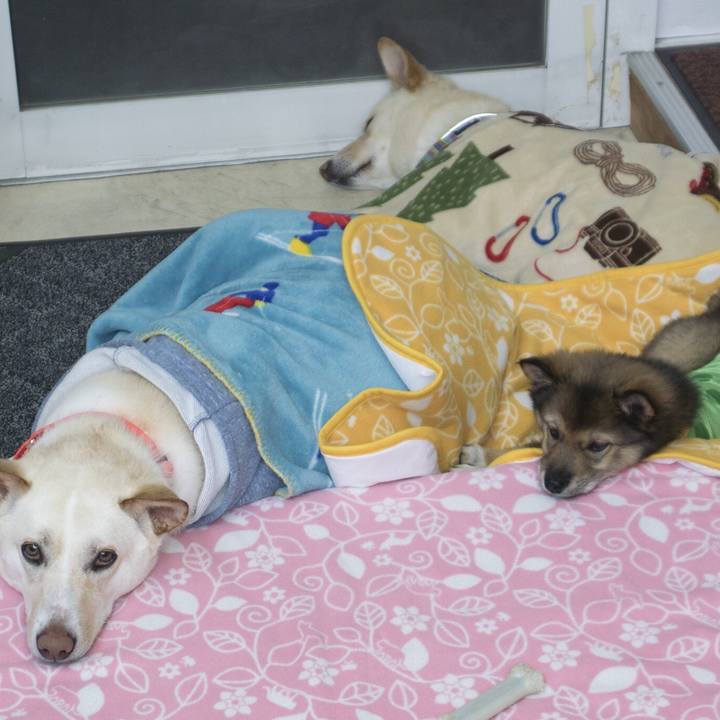 3f106758 e366 42ec 97e1 d300de14b7bd 1523851389624