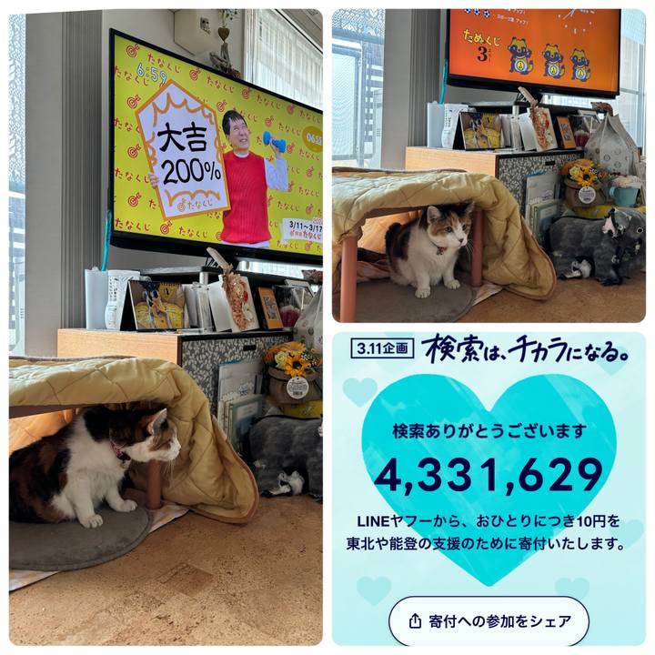 3f10dc57 7675 4037 a115 f73e1a426f63 1710149716279