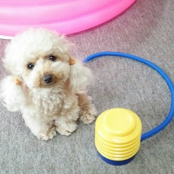 3f10f956 5884 4bfc 9fac dcb34a8d040a 1531282019025