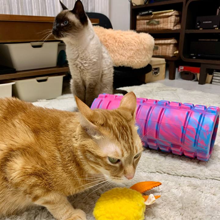 3f111189 8e41 48ab 8526 055ca572f2ee 1612953526715