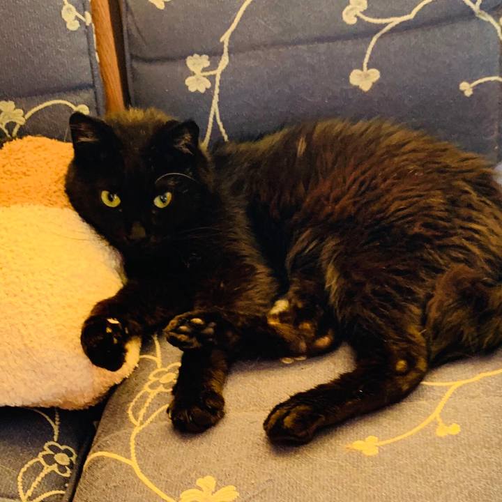 3f1158eb 0687 4789 a252 eedd768abf2a 1599122644432