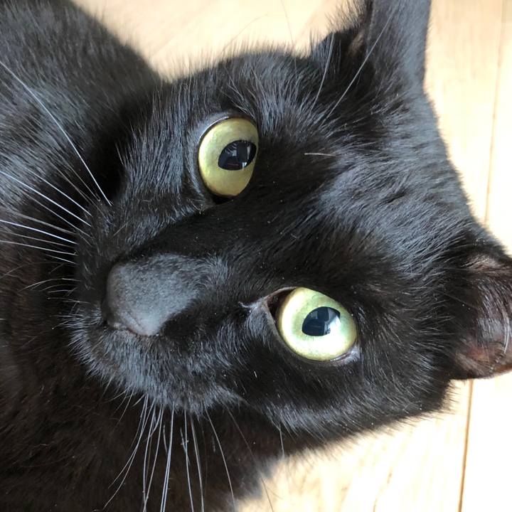 3f1174a0 3ccd 4e34 ae06 71fdb2556a13 1517626270656