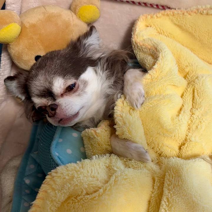 3f118ef0 cca7 4194 bf9c 8cb92f36a5f9 1707350877751