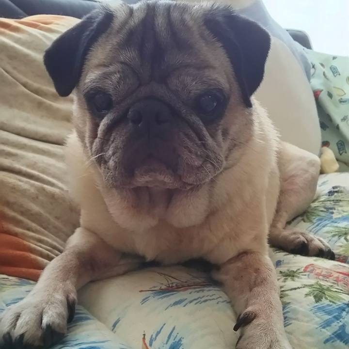 3f119e61 f492 4de9 9915 e6ba807545a0 1563167742112