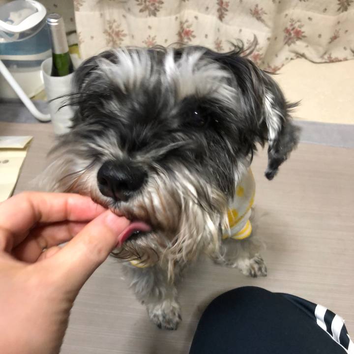 3f11a0d6 8522 4483 ab67 ffc4fd7d55cd 1613393011654