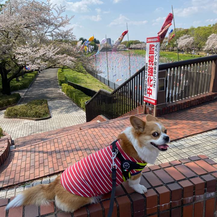 3f11ea80 24f7 448e ae23 2c45c7aa8b9a 1744534079258